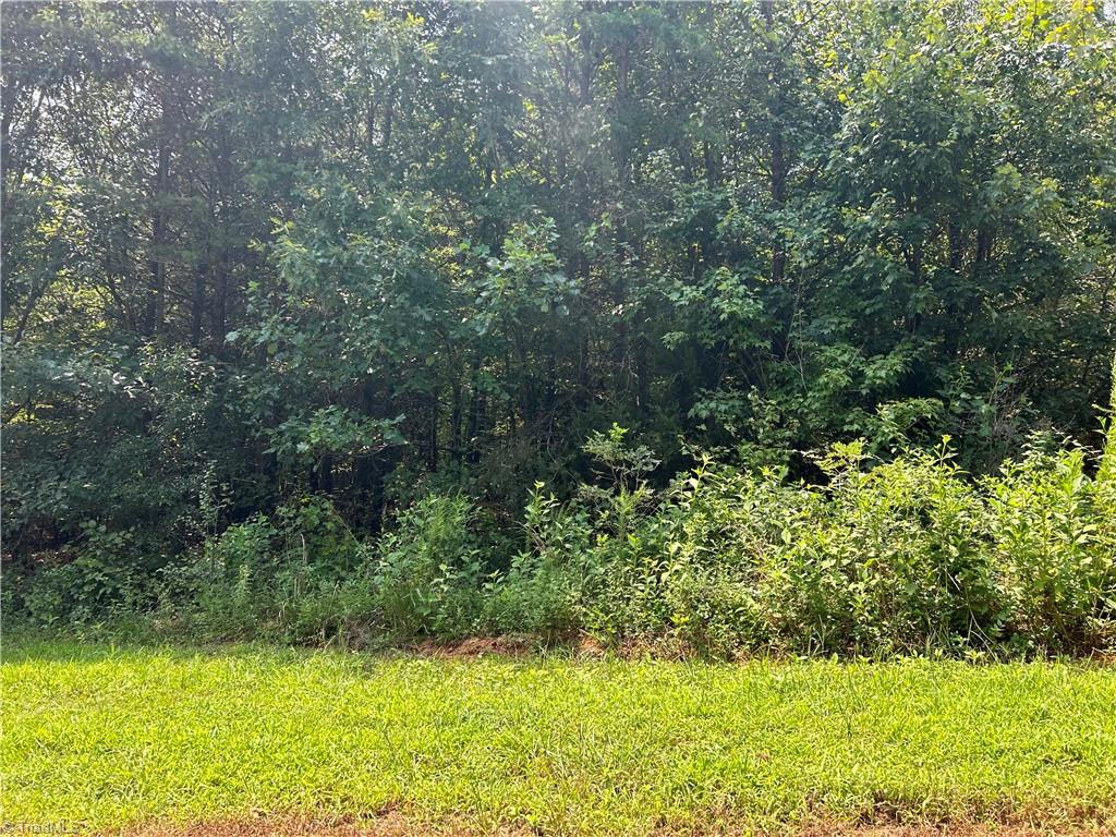 0 Sunny Ridge Road Walnut Cove, NC 27052 - Photo 3 of 6 Gallery Image 3