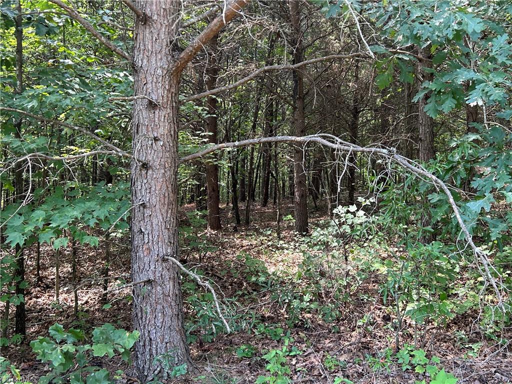 0 Sunny Ridge Road Walnut Cove, NC 27052 - Photo 5 of 6 Gallery Image 5