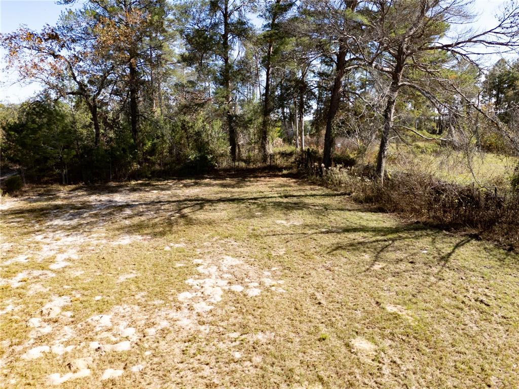 18129 Southwest 200th Street Archer, FL 32618 - Photo 13 of 24 a view of a backyard with large trees