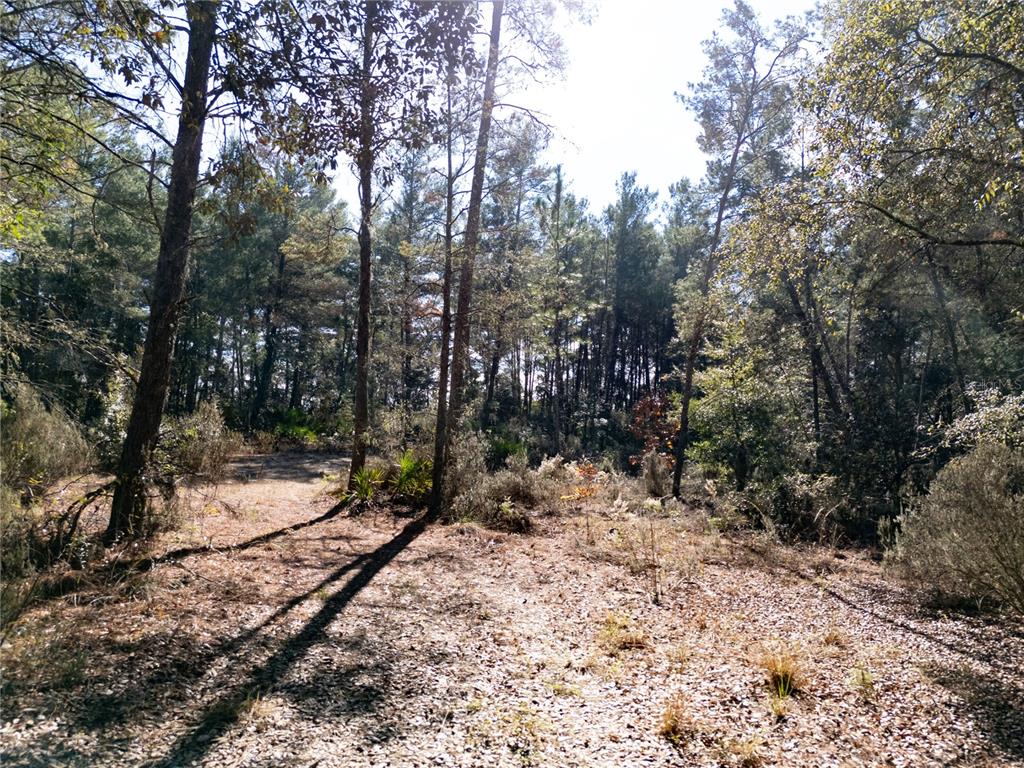18129 Southwest 200th Street Archer, FL 32618 - Photo 18 of 24 a view of a yard with trees
