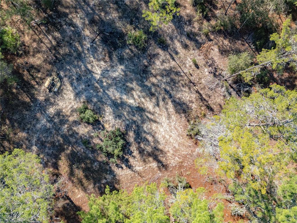 18129 Southwest 200th Street Archer, FL 32618 - Photo 19 of 24