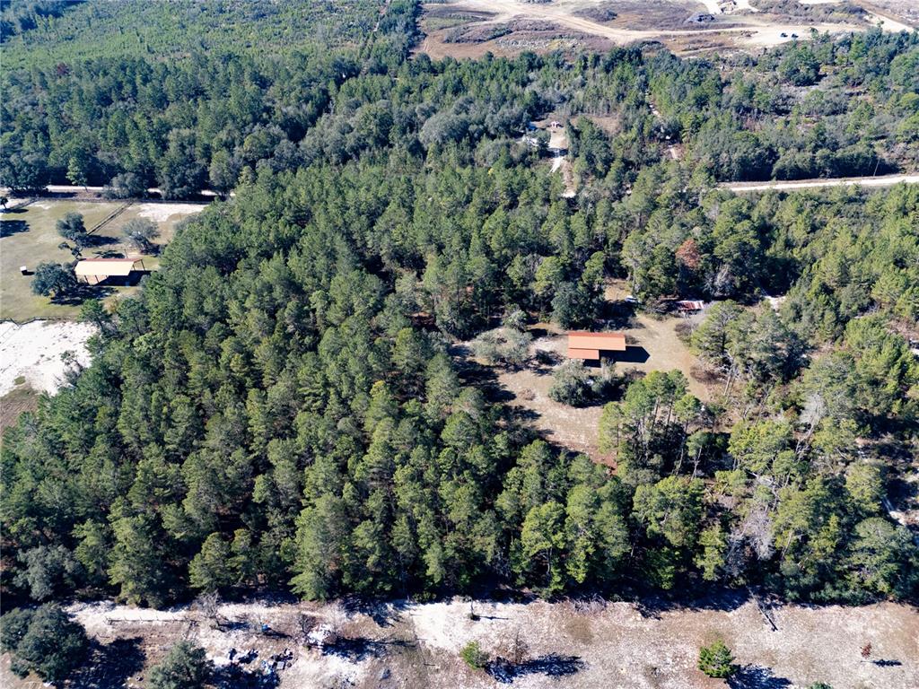 18129 Southwest 200th Street Archer, FL 32618 - Photo 24 of 24 a view of a house with a yard