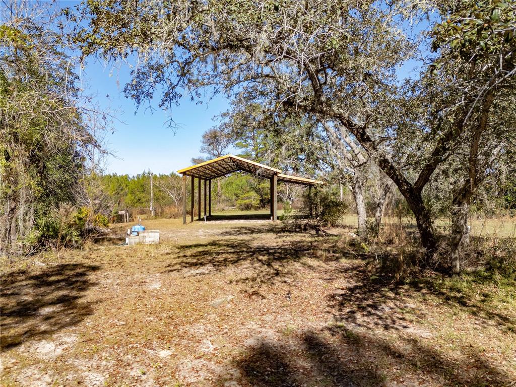 18129 Southwest 200th Street Archer, FL 32618 - Photo 4 of 24 a view of a yard with large tree