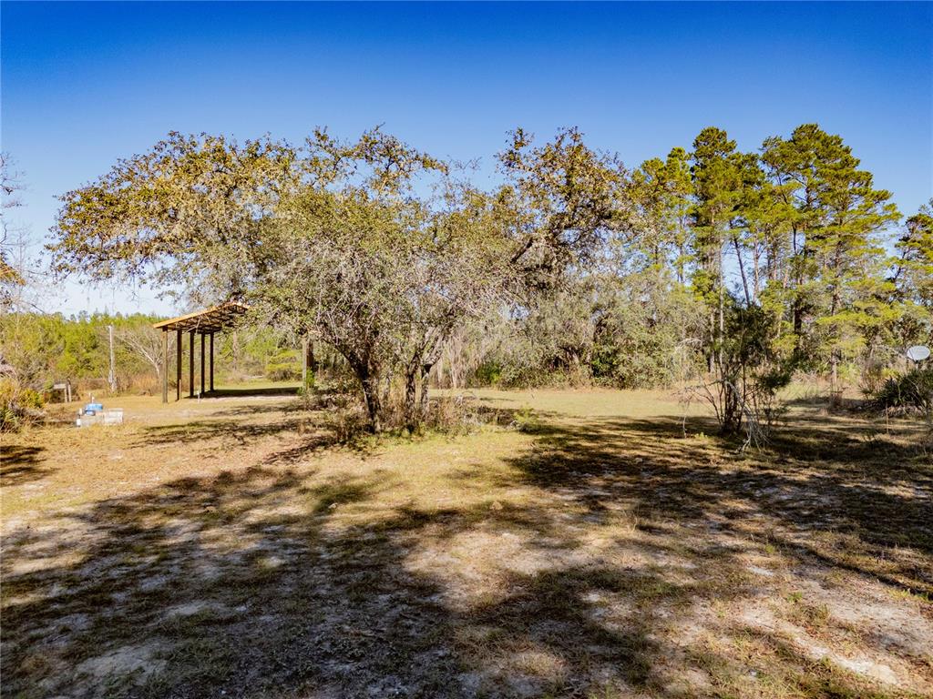18129 Southwest 200th Street Archer, FL 32618 - Photo 6 of 24 a view of a yard with a tree