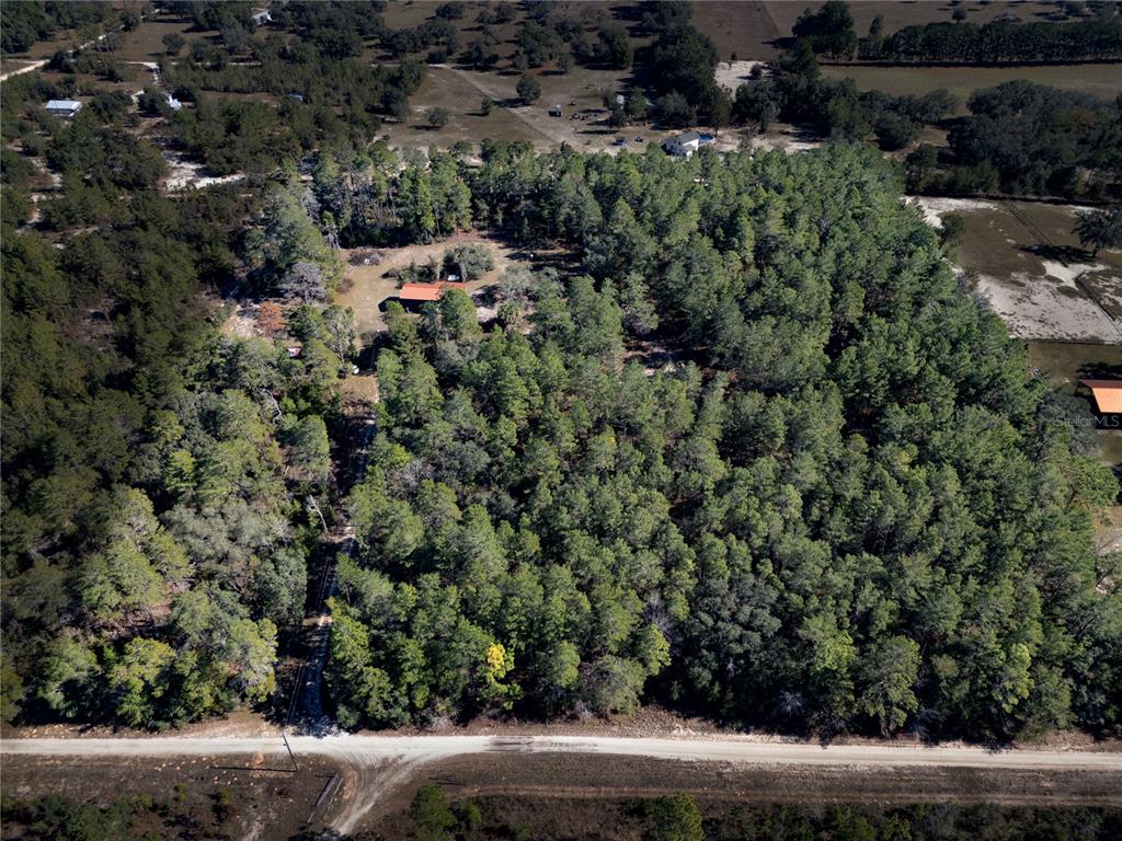 18129 Southwest 200th Street Archer, FL 32618 - Photo 8 of 24 a view of a green field with lots of bushes