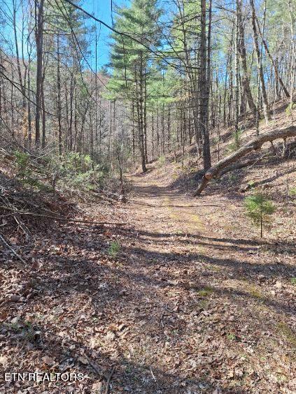 Cooper Road Vonore, TN 37885 - Photo 13 of 44 image000002 (5)