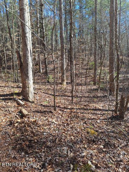 Cooper Road Vonore, TN 37885 - Photo 23 of 44 image000004 (6)