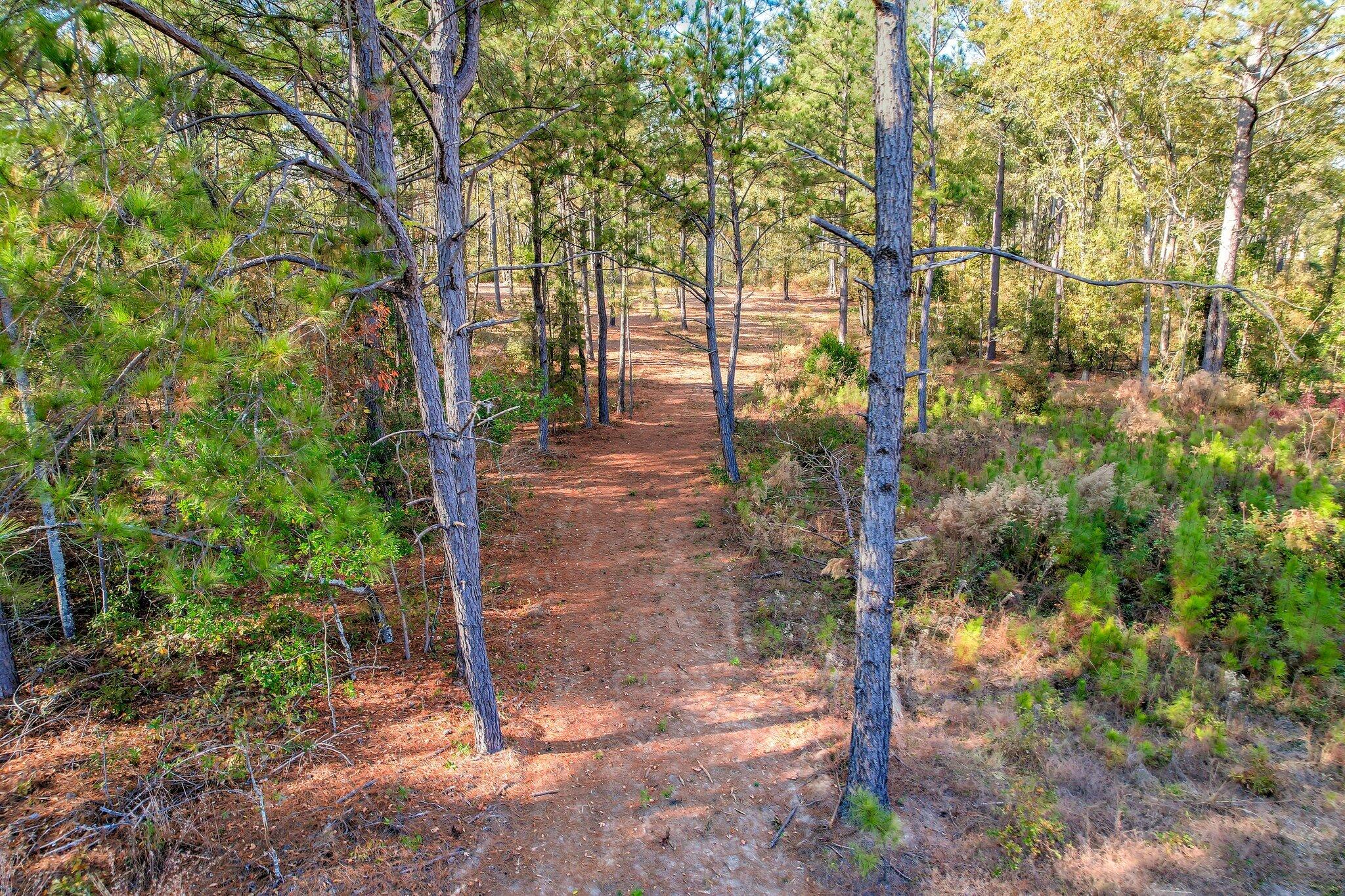 364 Wrights Mill Road Aiken, SC 29801 - Photo 13 of 14 126 (1)