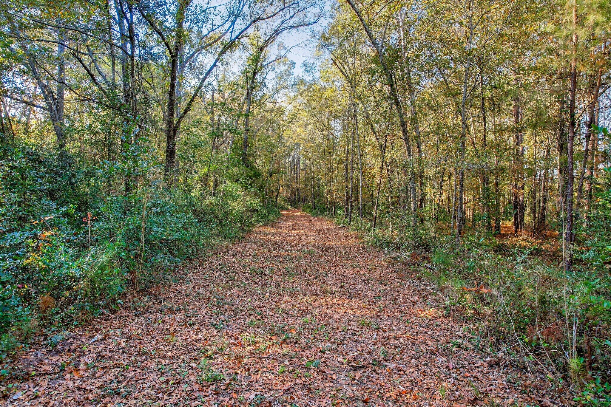 364 Wrights Mill Road Aiken, SC 29801 - Photo 14 of 14 127 (3)