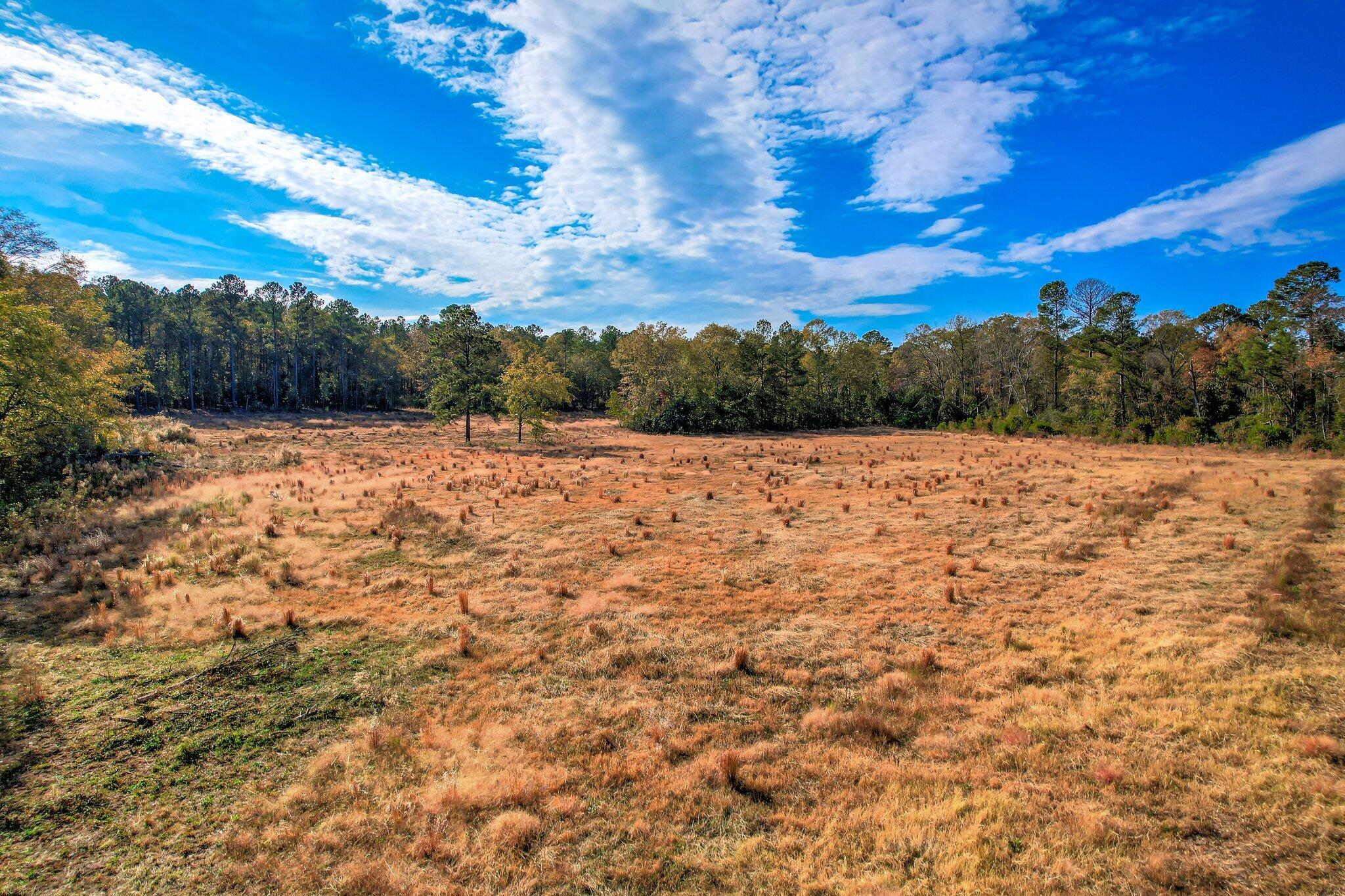 364 Wrights Mill Road Aiken, SC 29801 - Photo 2 of 14 103 (5)