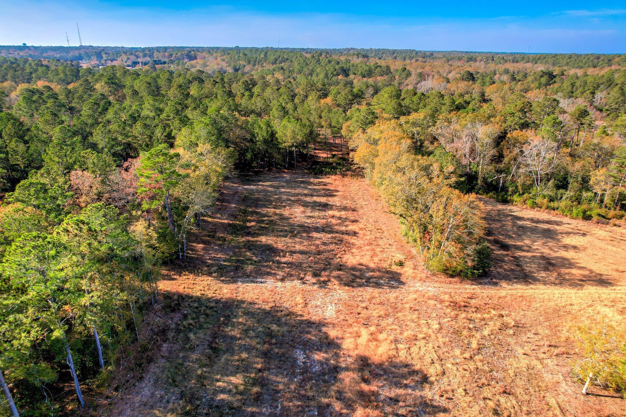 364 Wrights Mill Road Aiken, SC 29801 - Photo 6 of 14 124 (2)