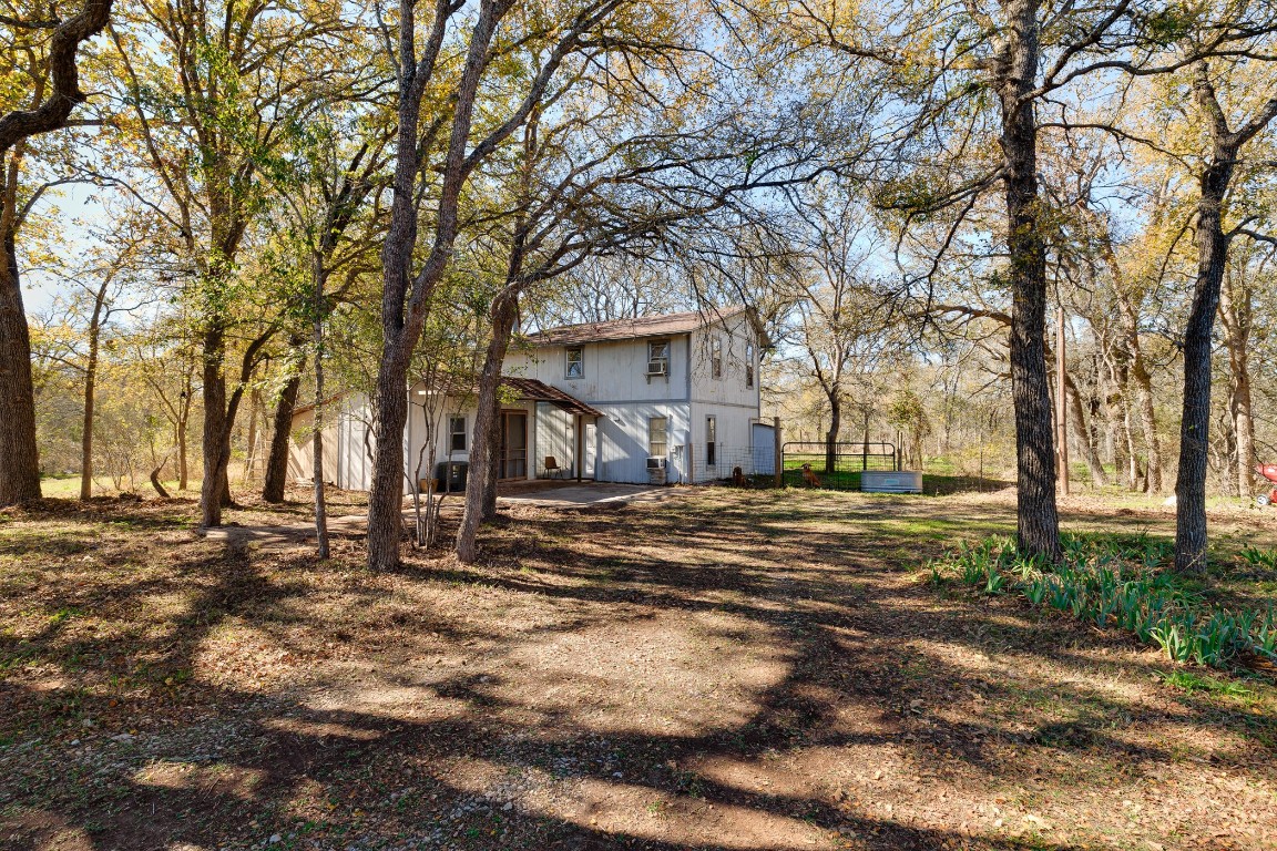 a view of a yard with a tree