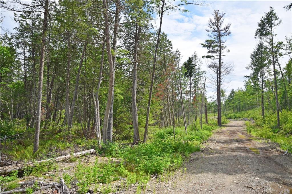 Off Caribou Road Enfield, ME 04493 - Photo 4 of 12 land