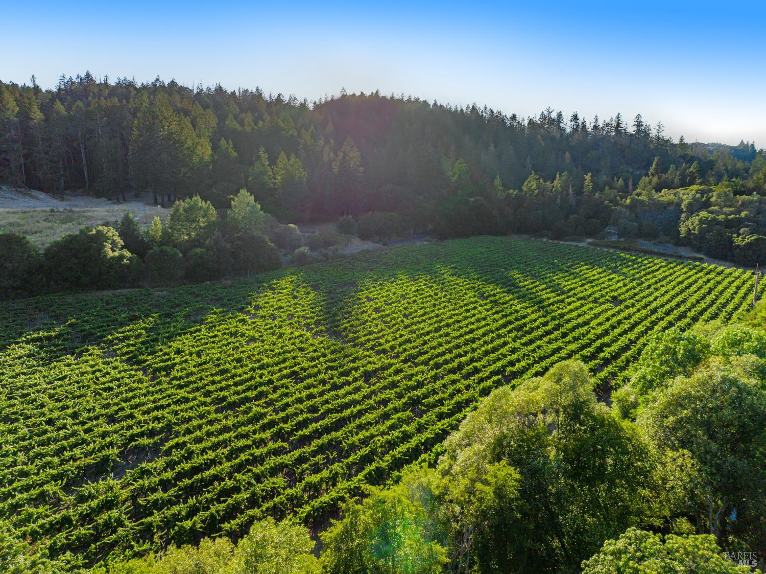 8320 Franz Valley Road Calistoga, CA 94515 - Photo 74 of 78