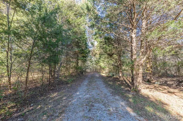 $250,000 | 8858 State Highway, Gatewood, MO 63942
