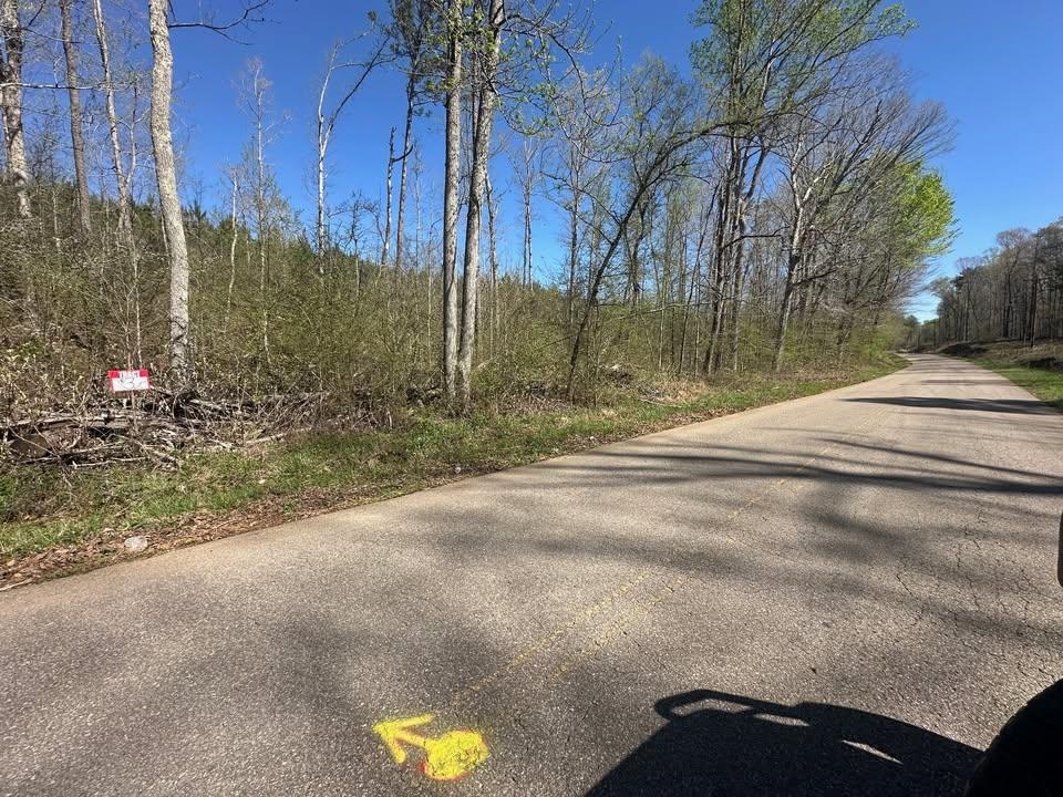 3 Bruton Branch Road Savannah, TN 38372 - Photo 1 of 10 View of asphalt street