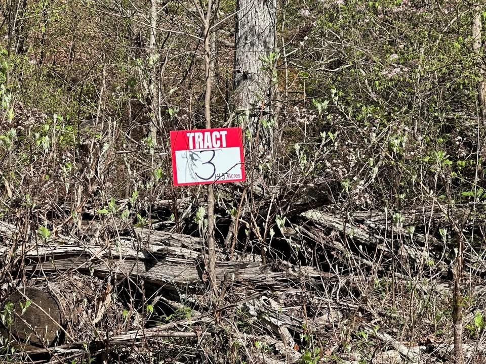 3 Bruton Branch Road Savannah, TN 38372 - Photo 2 of 10 Exterior view