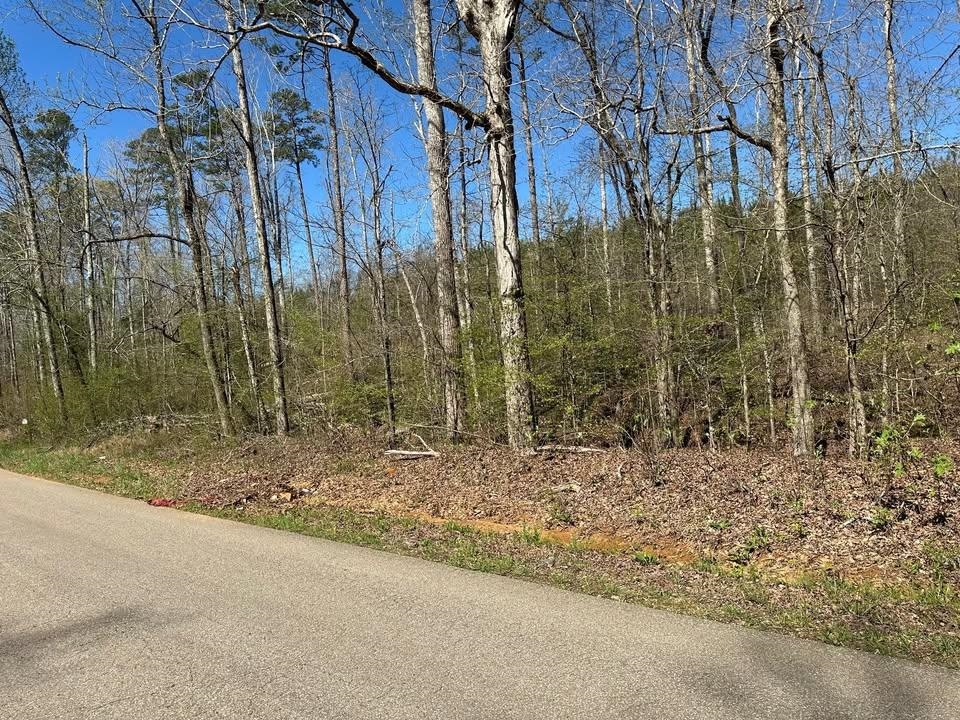 3 Bruton Branch Road Savannah, TN 38372 - Photo 3 of 10 View of asphalt street