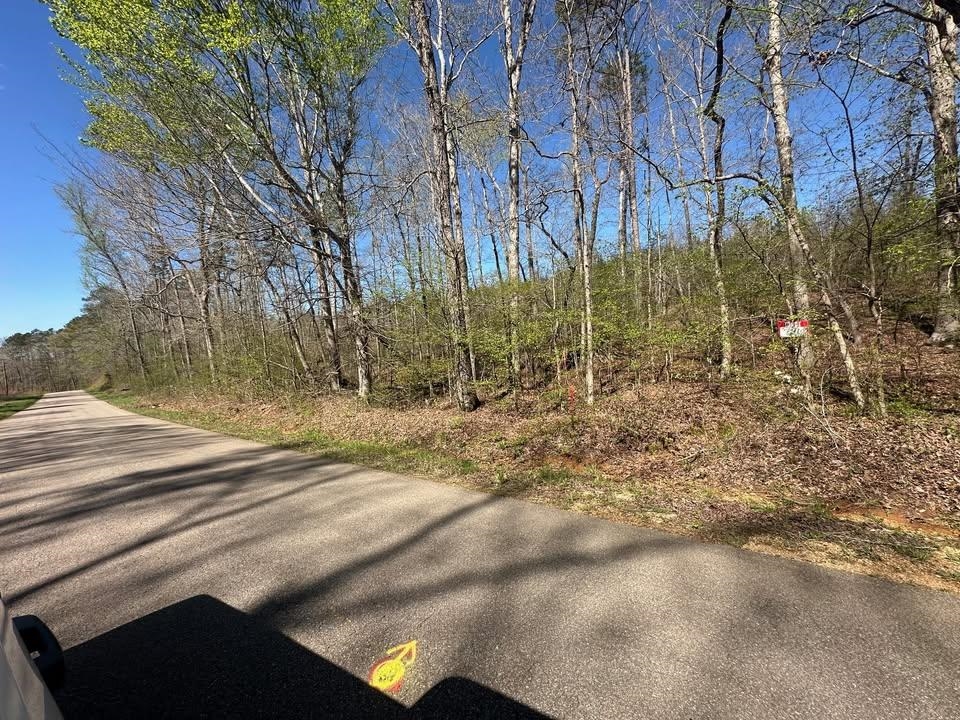 3 Bruton Branch Road Savannah, TN 38372 - Photo 4 of 10 View of asphalt road