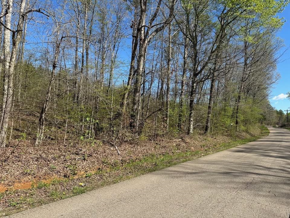 3 Bruton Branch Road Savannah, TN 38372 - Photo 5 of 10 View of asphalt road