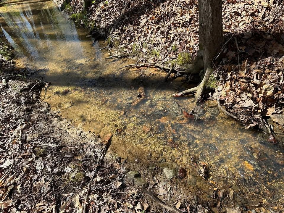 3 Bruton Branch Road Savannah, TN 38372 - Photo 7 of 10 Exterior view