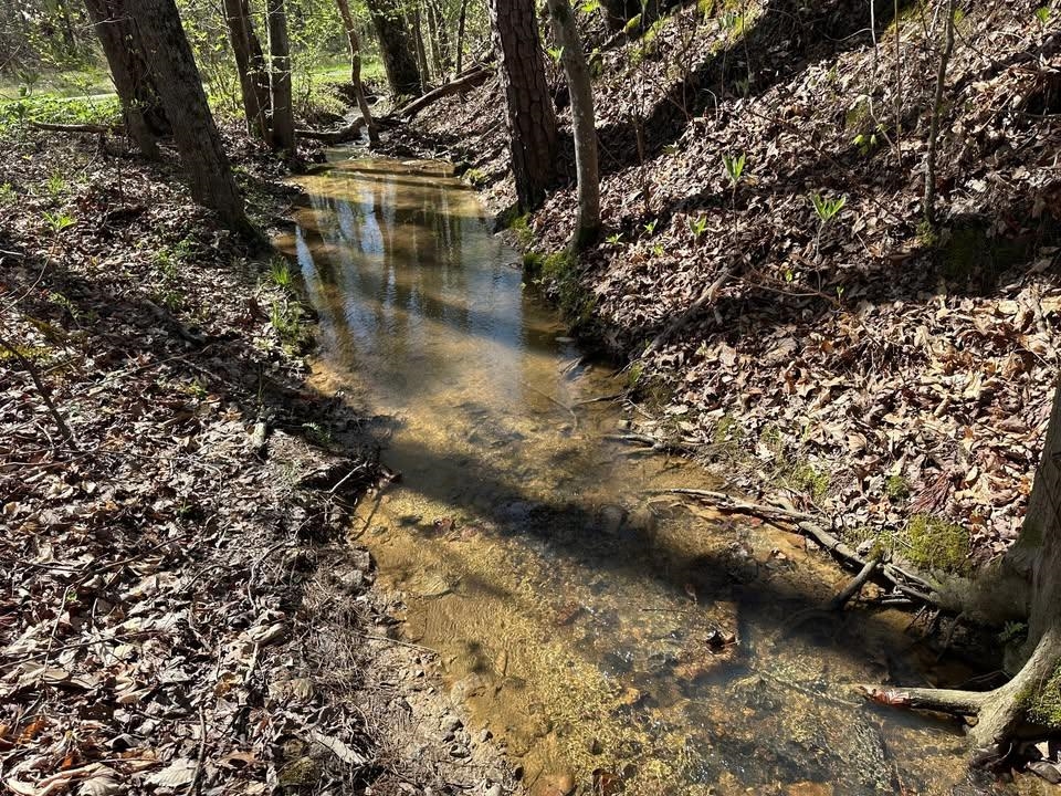 3 Bruton Branch Road Savannah, TN 38372 - Photo 9 of 10 Water view