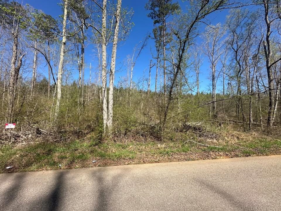 3 Bruton Branch Road Savannah, TN 38372 - Photo 10 of 10 View of yard