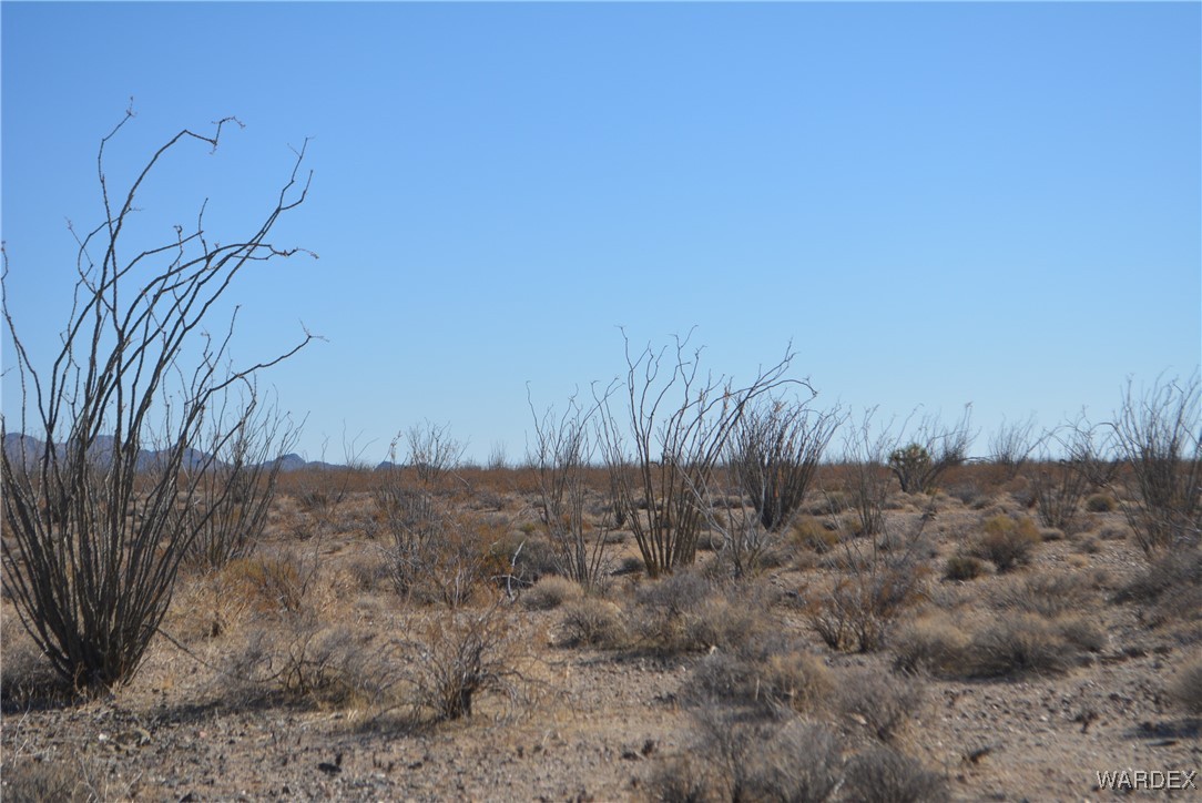 245-24-107 South Rainbow Road Yucca, AZ 86438 - Photo 17 of 91