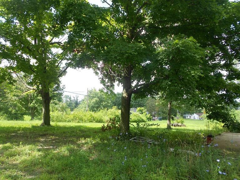 4439 Oliver Road Independence, KY 41051 - Photo 2 of 15 Gallery Image 2
