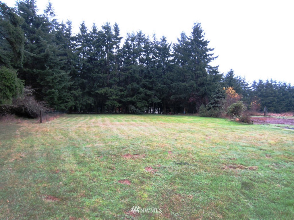 393 Hawkins Road Winlock, WA 98596 - Photo 1 of 5