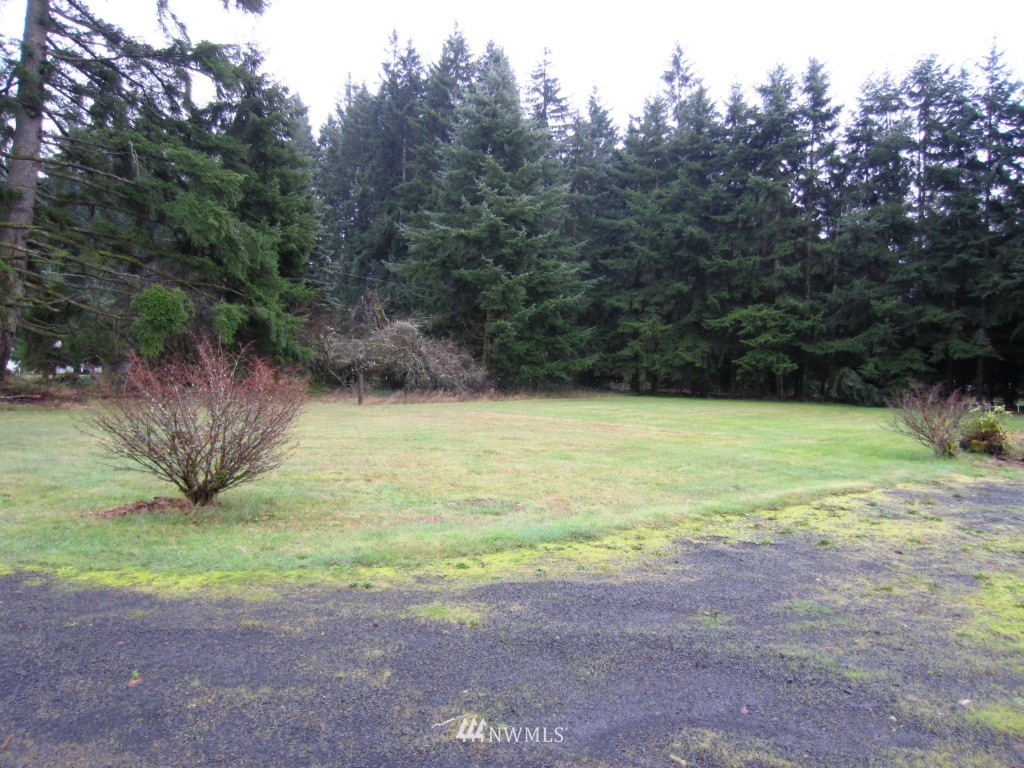 393 Hawkins Road Winlock, WA 98596 - Photo 4 of 5