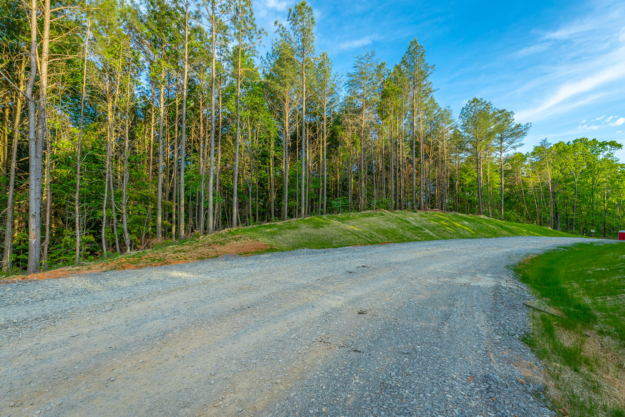 0 Cannon Way, Unit LOT 1317 Guild, TN 37340 - Photo 5 of 99 0 Cannon Way - Lot 1317 HD-59