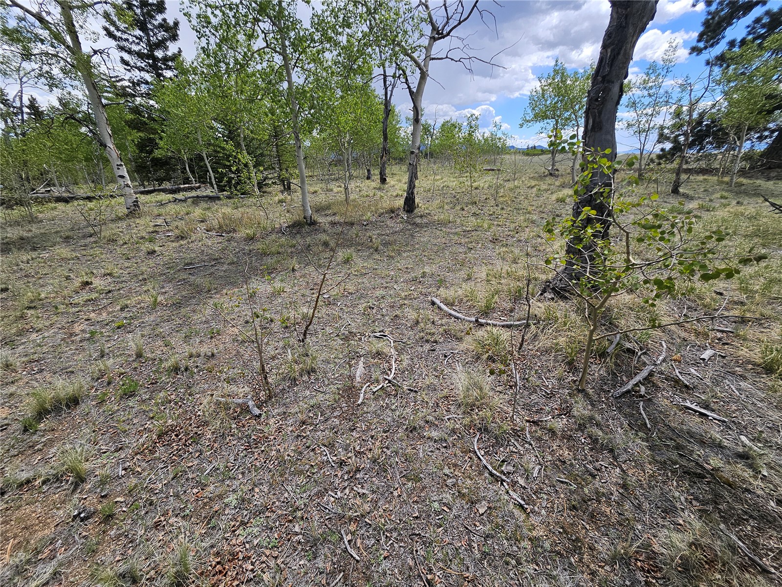 412 Smith And Wesson Road Como, CO 80432 - Photo 12 of 50