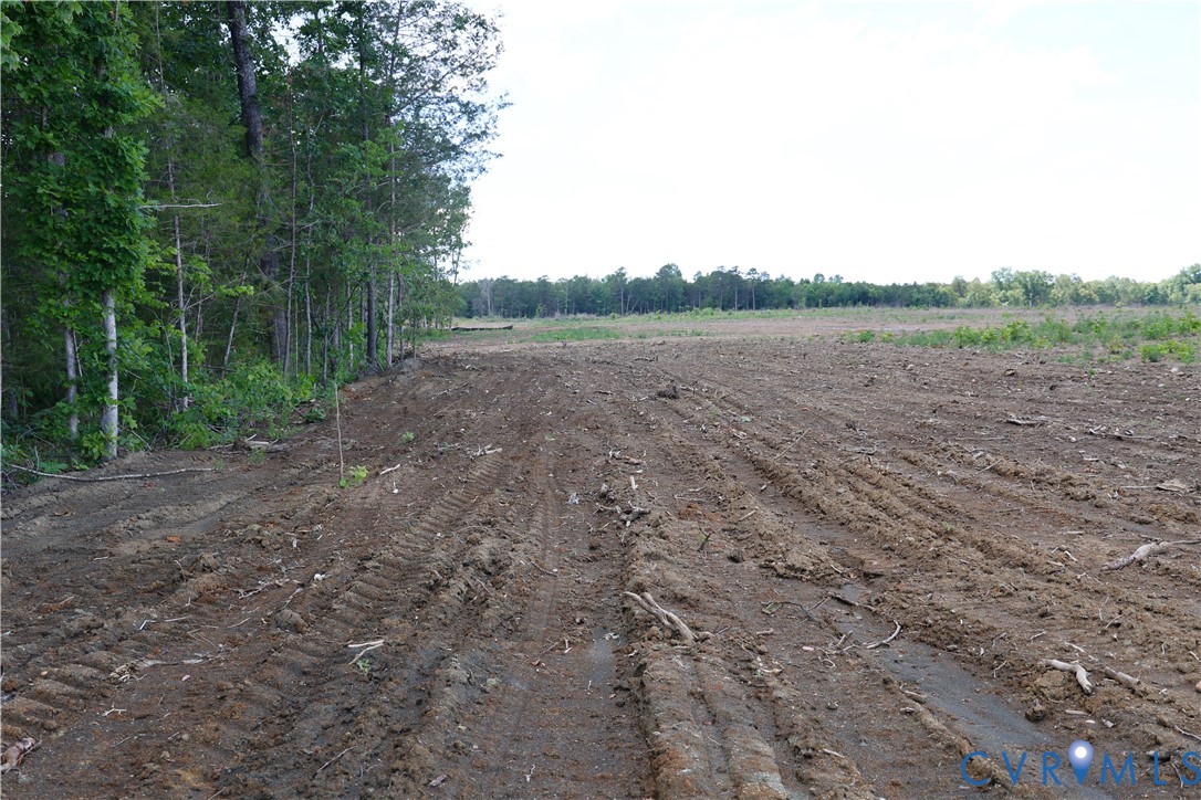 0 Diana Mill Road Arvonia, VA 23004 - Photo 3 of 33