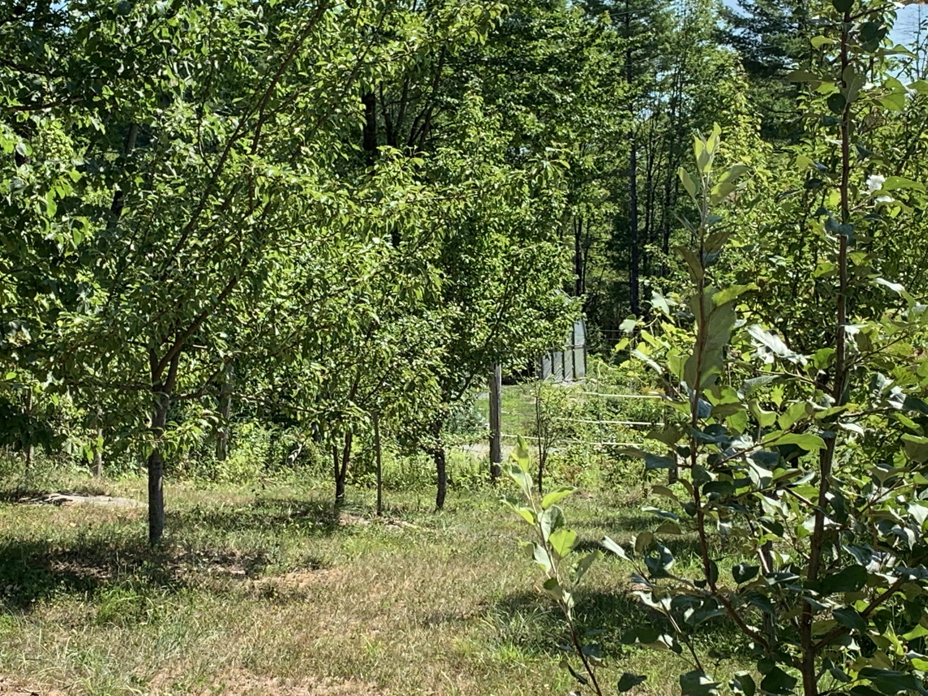 194 Bartlett Road Belgrade, ME 04917 - Photo 10 of 24 IMG_3396