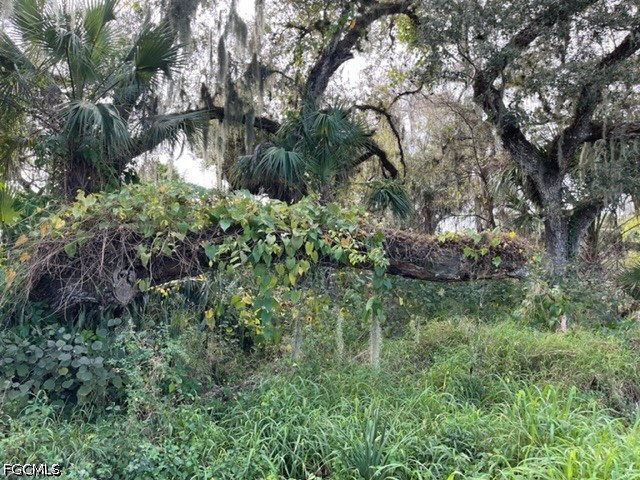 501 Norris Road LaBelle, FL 33935 - Photo 9 of 18