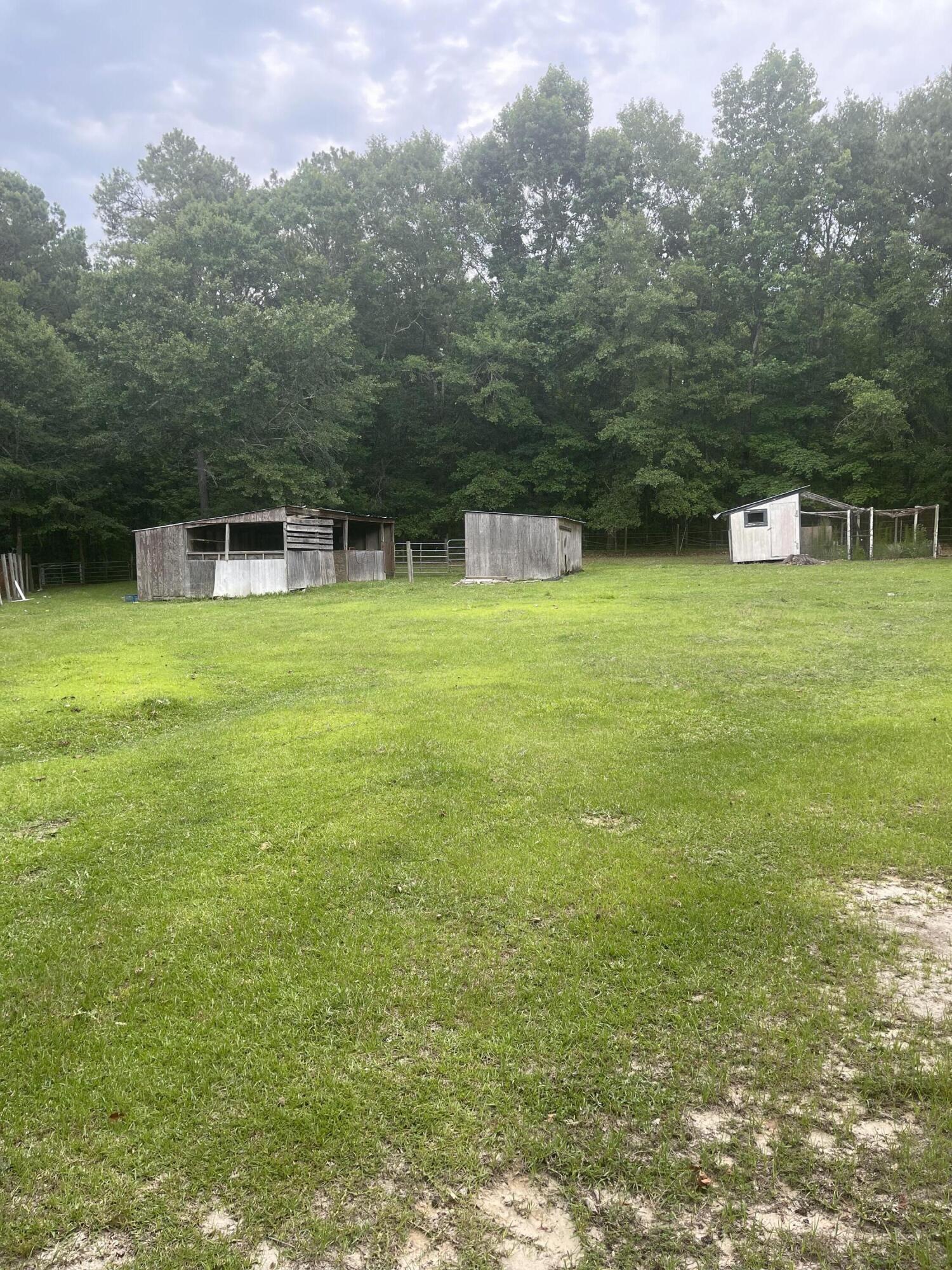 56 Geno Branch Road Camden, SC 29020 - Photo 17 of 21