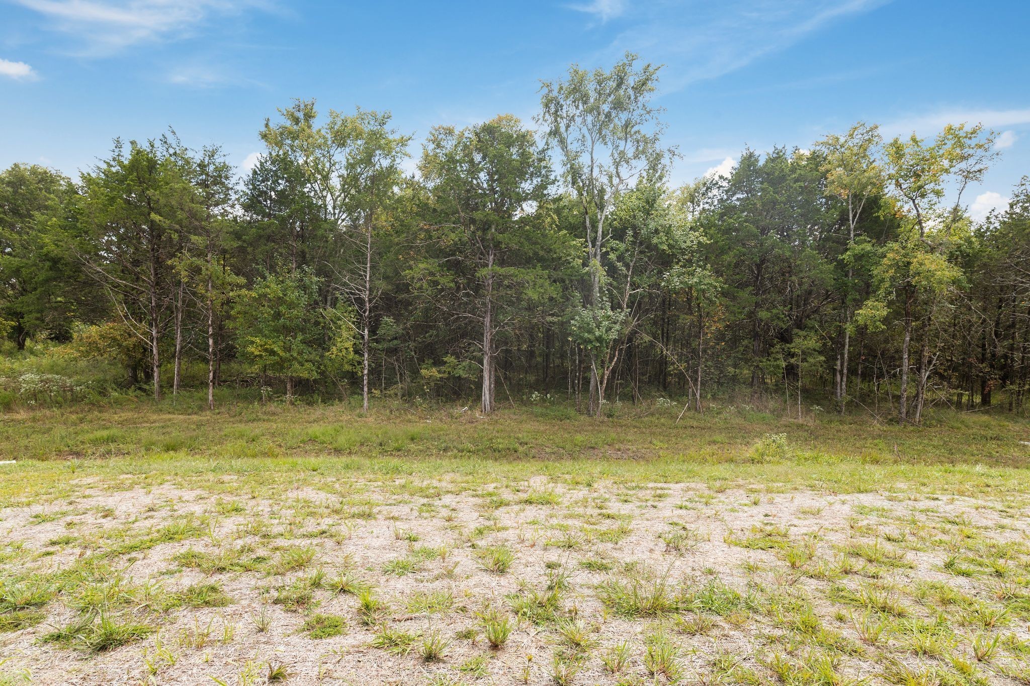 443 Generosity Way Smyrna, TN 37167 - Photo 31 of 37 a view of backyard with green space