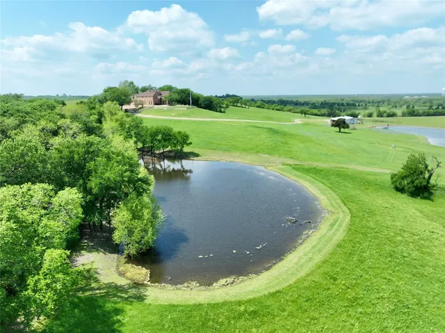 a view of a garden with an ocean