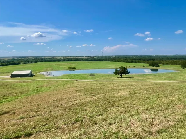 a view of an ocean from a yard