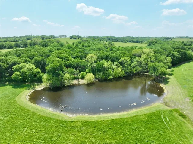 a view of a lake from a yard