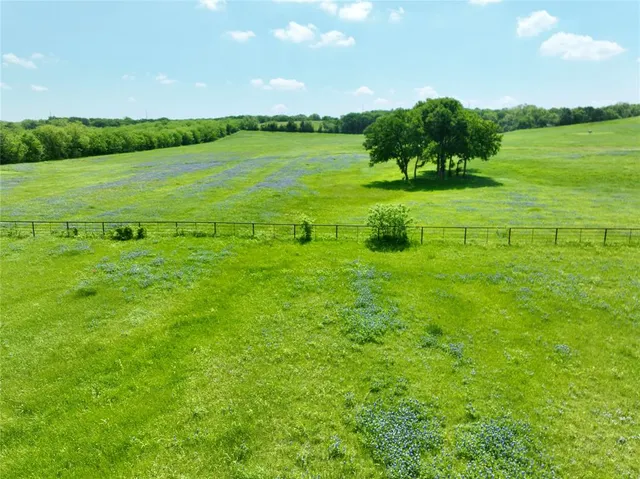 a view of an ocean from a yard