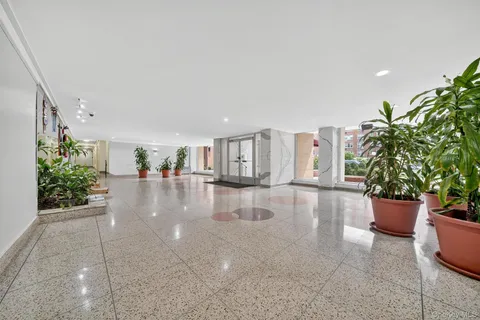 a view interior of the house and potted plants
