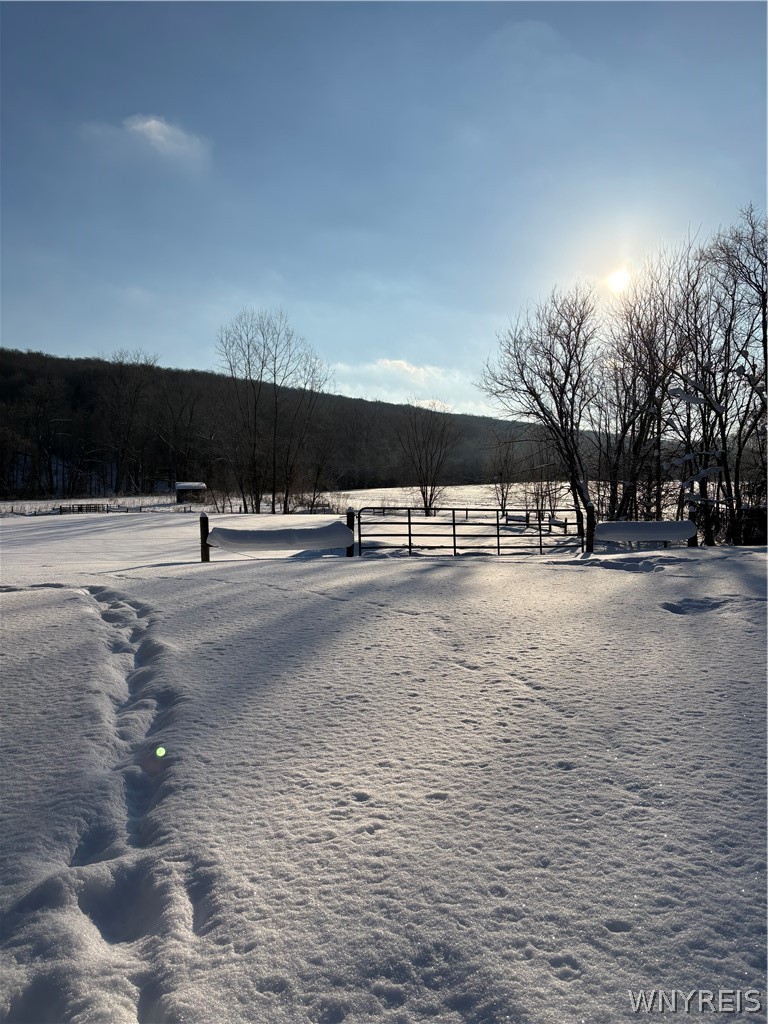 5445 East Creek Road Wales, NY 14139 - Photo 19 of 40