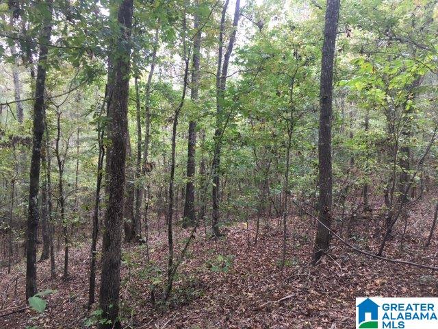 7101 Joinertown Road, Unit 1 Columbiana, AL 35051 - Photo 2 of 3