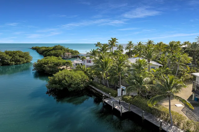 an aerial view of a house with outdoor space swimming pool and outdoor seating
