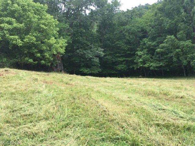 Dutchman Road Macfarlan, WV 26148 - Photo 12 of 16