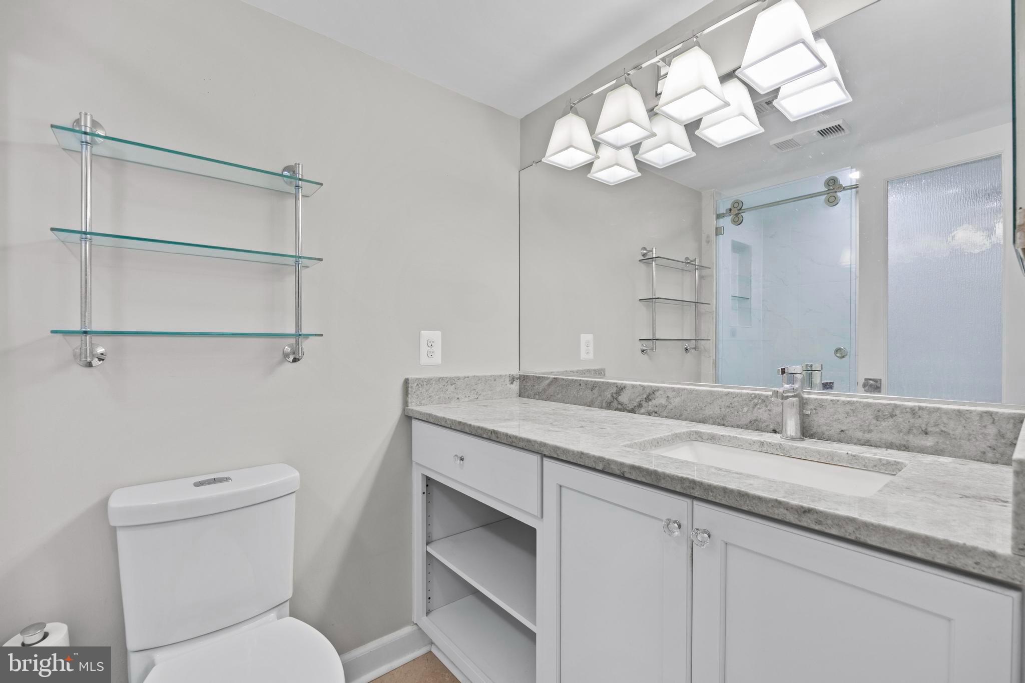 5920 Cove Landing Road, Unit 301 Burke, VA 22015 - Photo 18 of 25 Primary EnSuite Bathroom