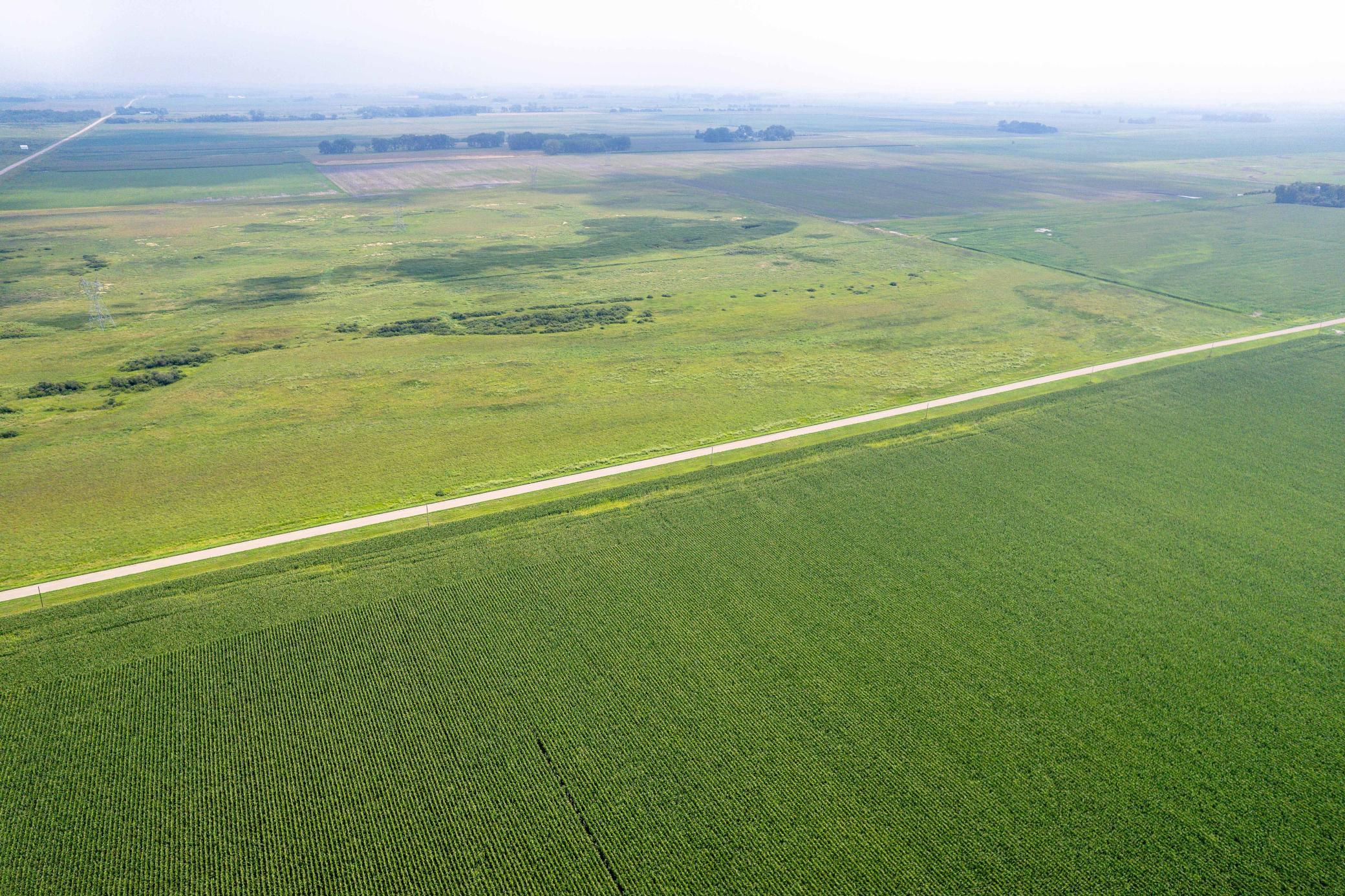 Tbd 250th Street Rothsay, MN 56579 - Photo 11 of 21