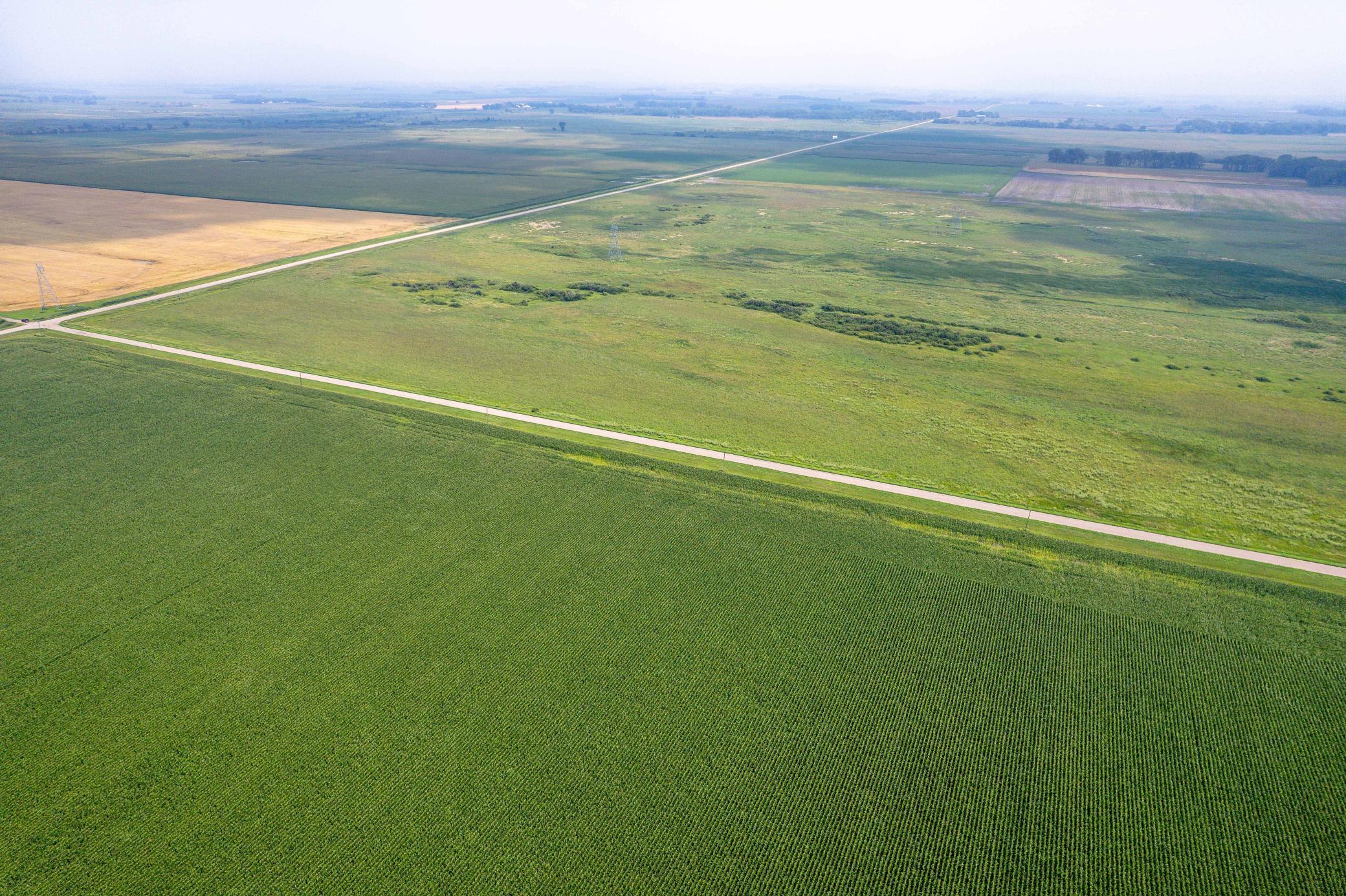 Tbd 250th Street Rothsay, MN 56579 - Photo 12 of 21